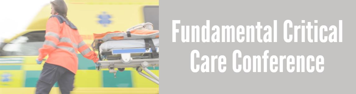 Fundamental Critical Care Support Banner